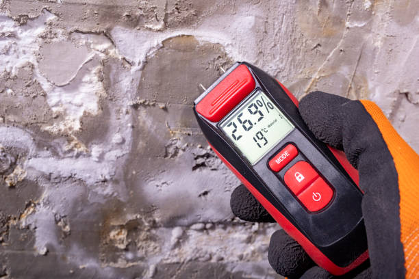Best Mold Testing  in Waveland, MS