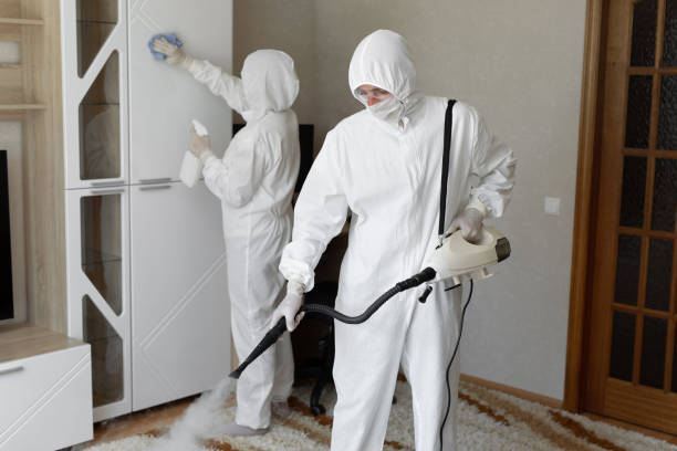 Best Mold Removal Process  in Waveland, MS